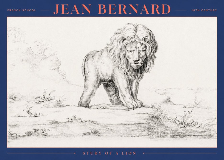 Jean Bernard Study of a Lion I No2 - Poszter