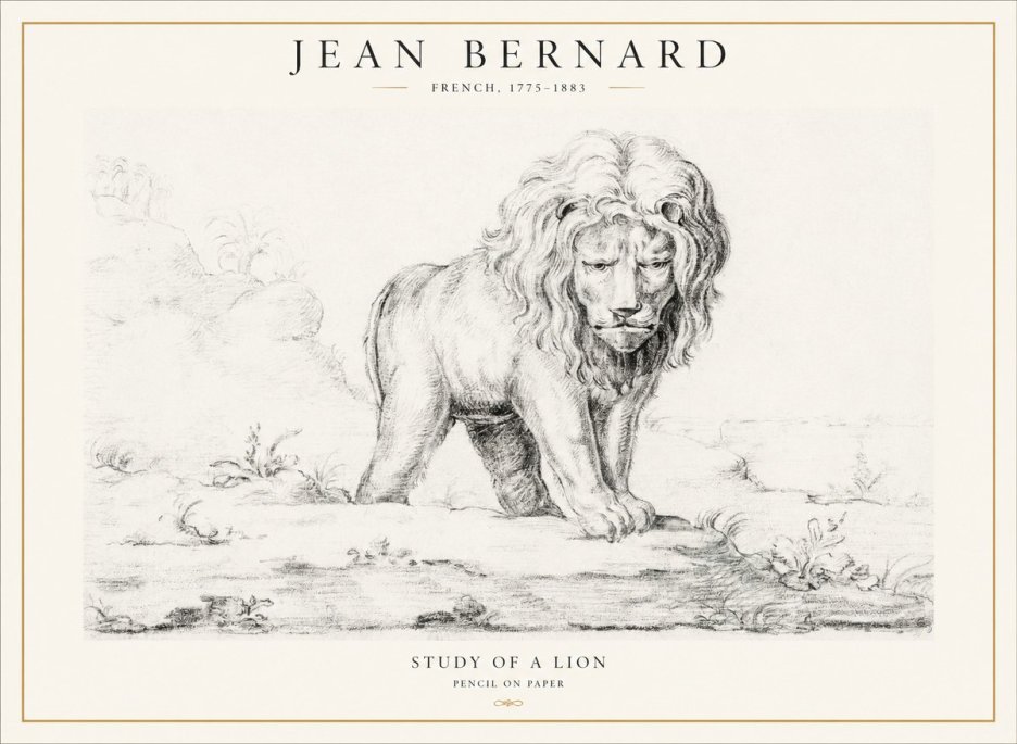 Jean Bernard Study of a Lion I No4 - Poszter