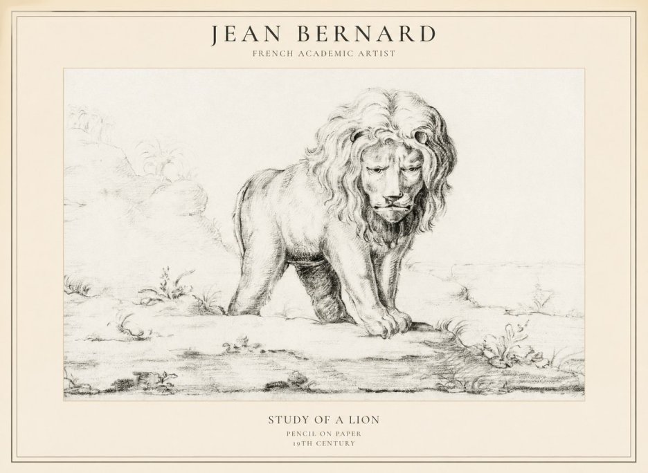 Jean Bernard Study of a Lion I No5 - Poszter