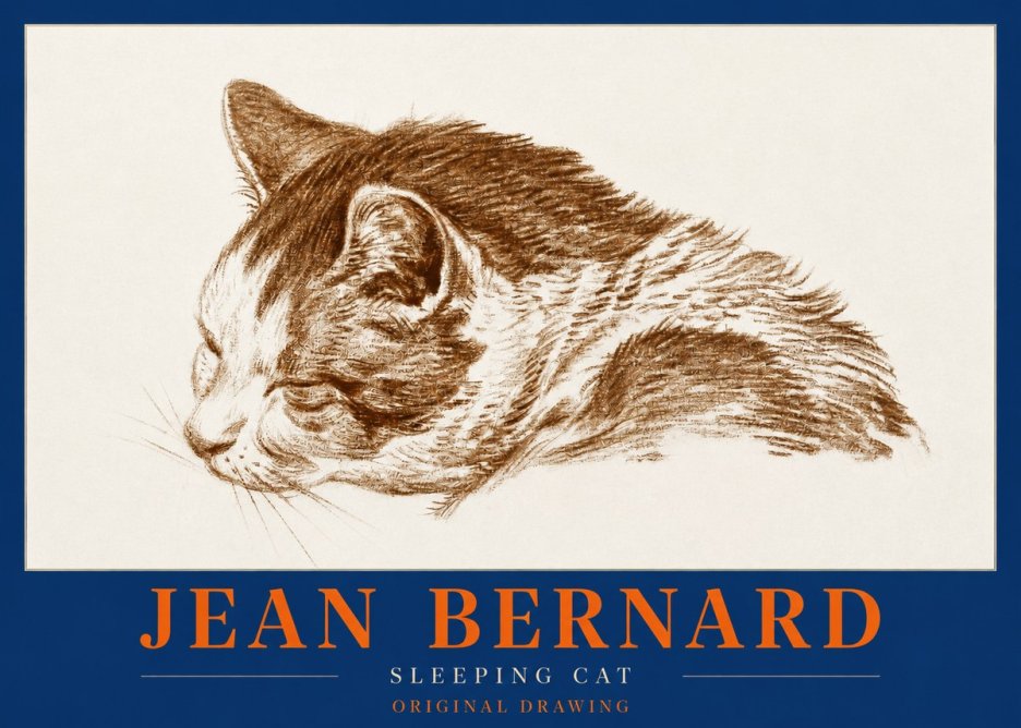 Jean Bernard Sleeping Cat II No2 - Poszter
