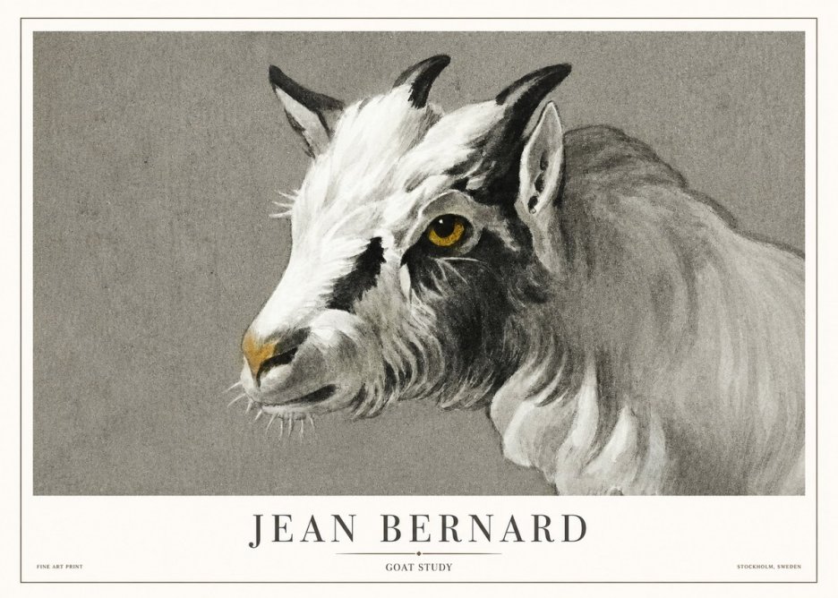 Jean Bernard Goat Study No1 - Poszter