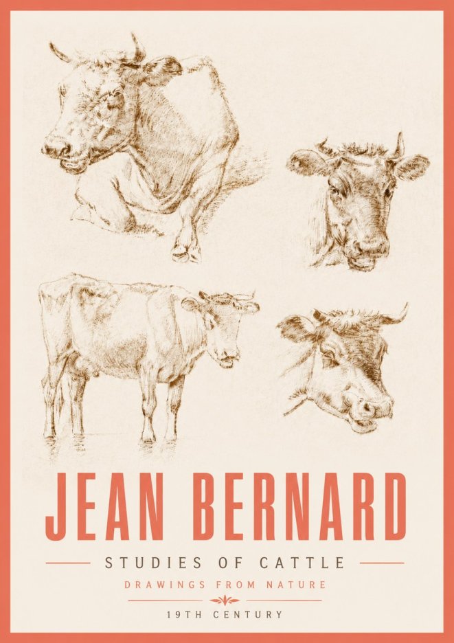 Jean Bernard Studies of Cattle II No5 - Poszter