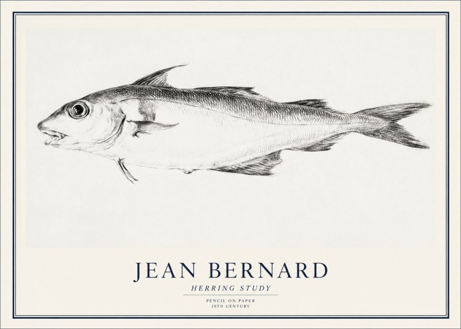 Jean Bernard Herring Study No1 - Poszter