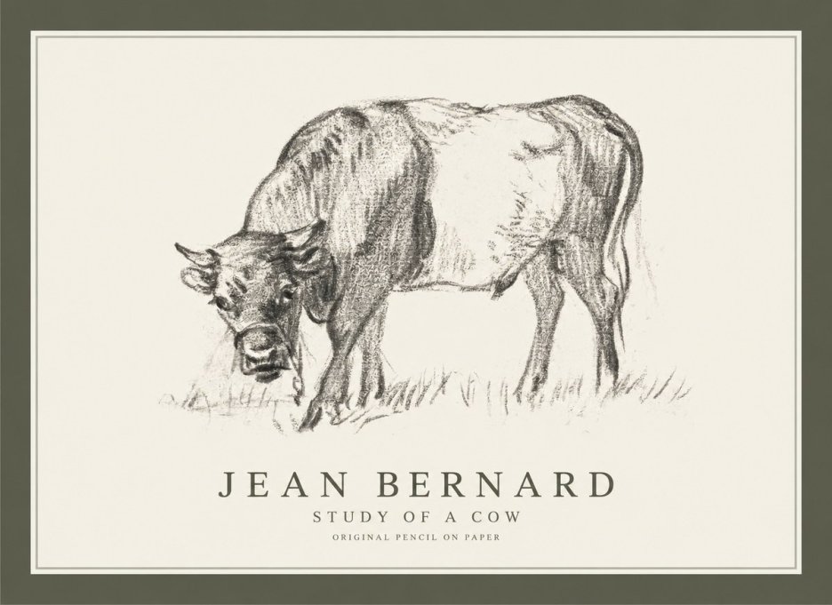 Jean Bernard Study of a Cow II No1 - Poszter