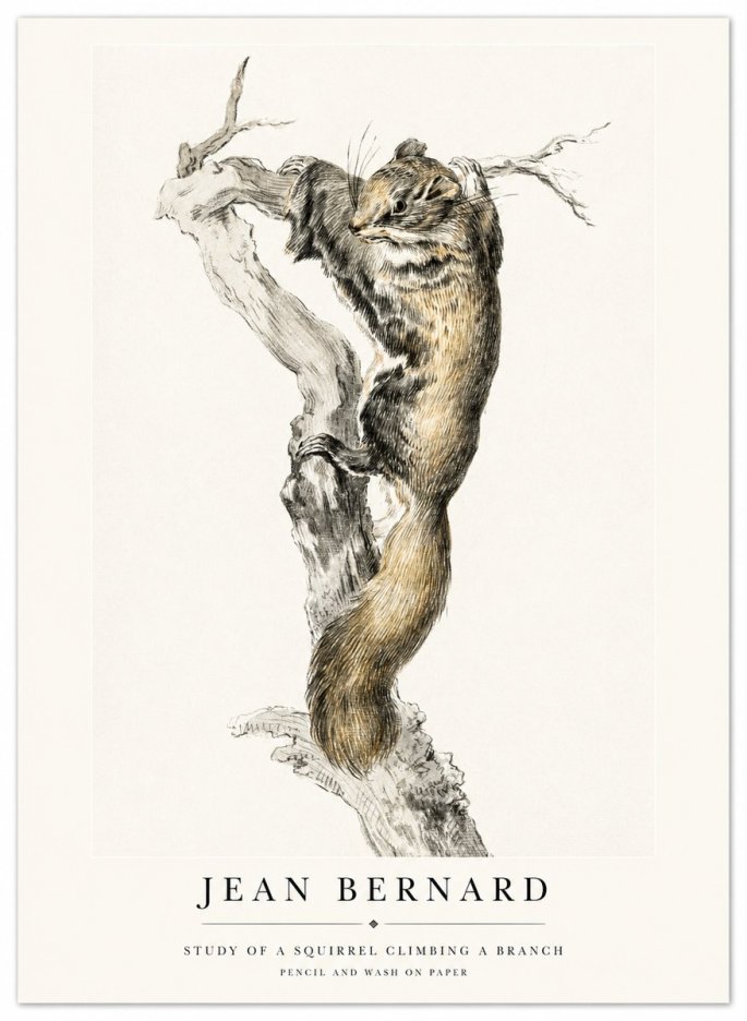 Jean Bernard Study of a Squirrel Climbing a Branch No1 - Poszter
