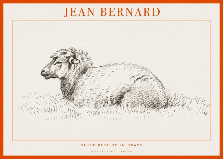 Jean Bernard Sheep Resting in Grass No1 - Poszter