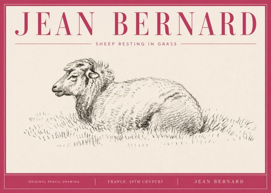 Jean Bernard Sheep Resting in Grass No4 - Poszter