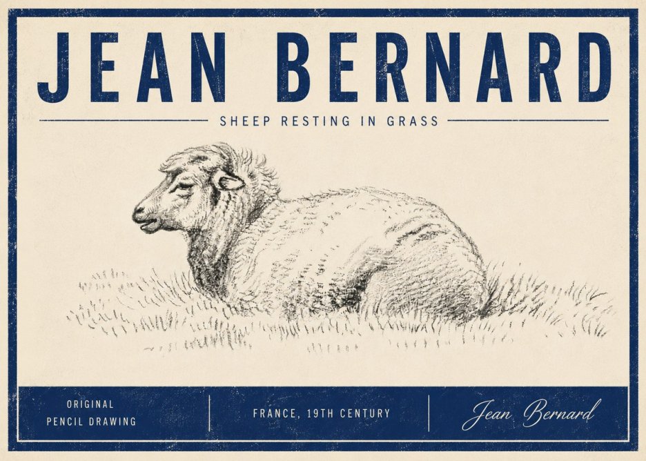Jean Bernard Sheep Resting in Grass No5 - Poszter