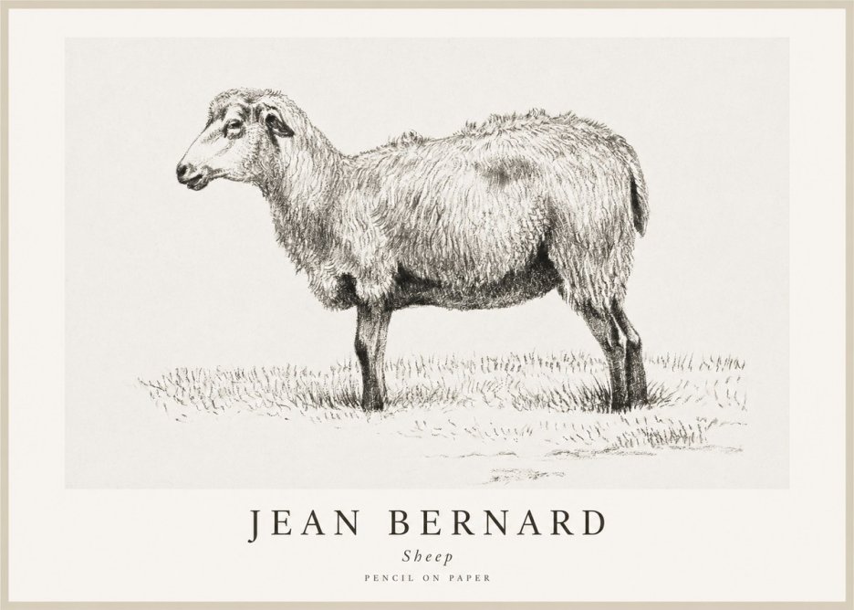 Jean Bernard Sheep No1 - Poszter