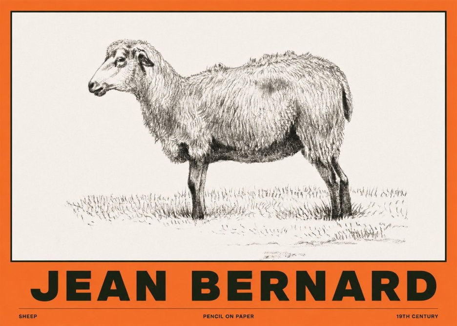Jean Bernard Sheep No2 - Poszter