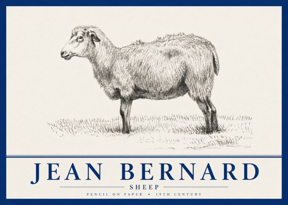 Jean Bernard Sheep No4 - Poszter