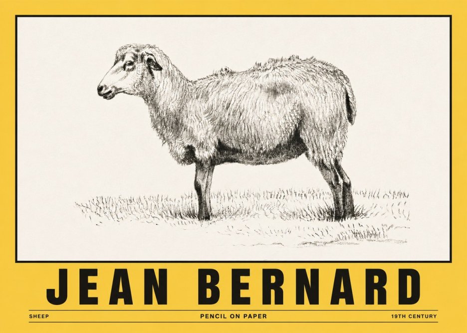 Jean Bernard Sheep No5 - Poszter
