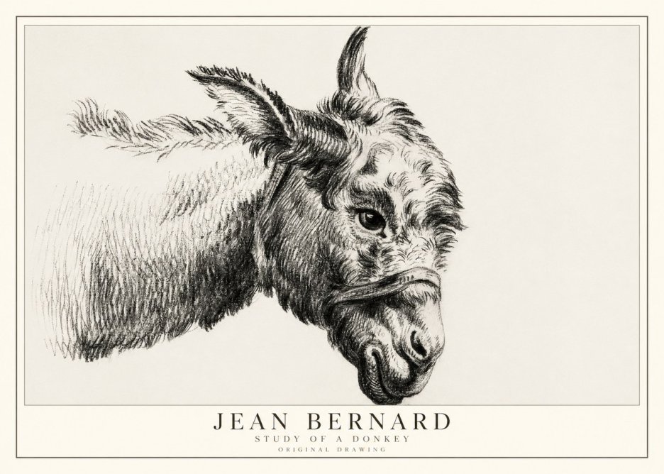 Jean Bernard Study of a Donkey I No1 - Poszter