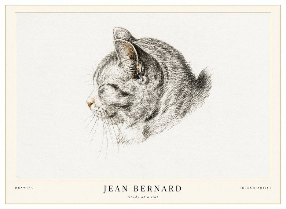 Jean Bernard Study of a Cat I No1 - Poszter