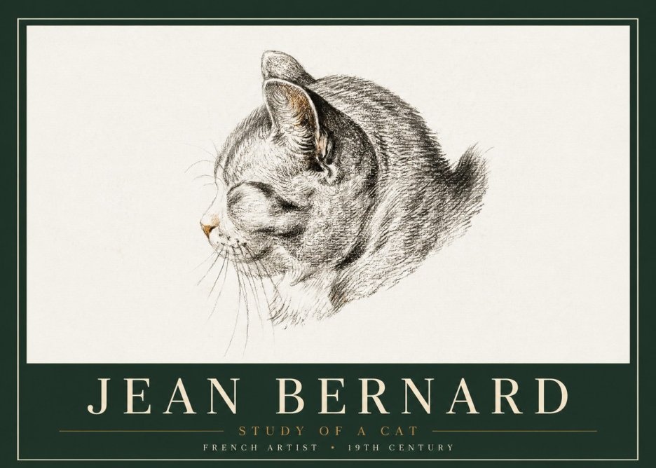 Jean Bernard Study of a Cat I No4 - Poszter
