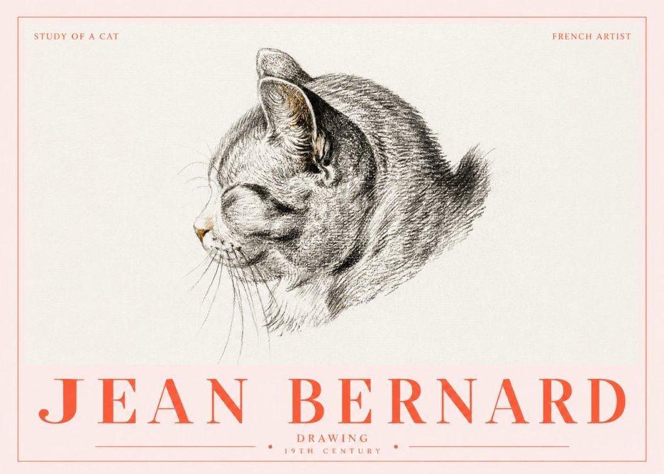 Jean Bernard Study of a Cat I No5 - Poszter