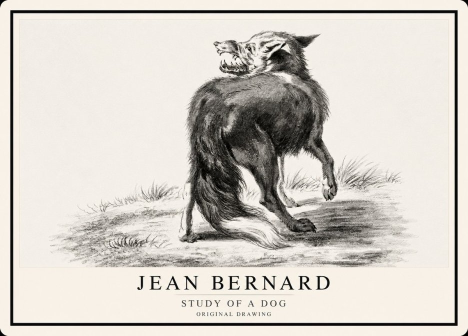 Jean Bernard Study of a Dog II No1 - Poszter
