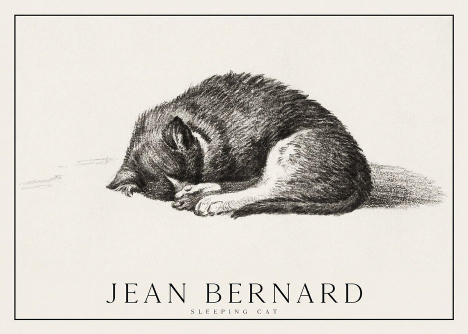 Jean Bernard Sleeping Cat III No1 - Poszter