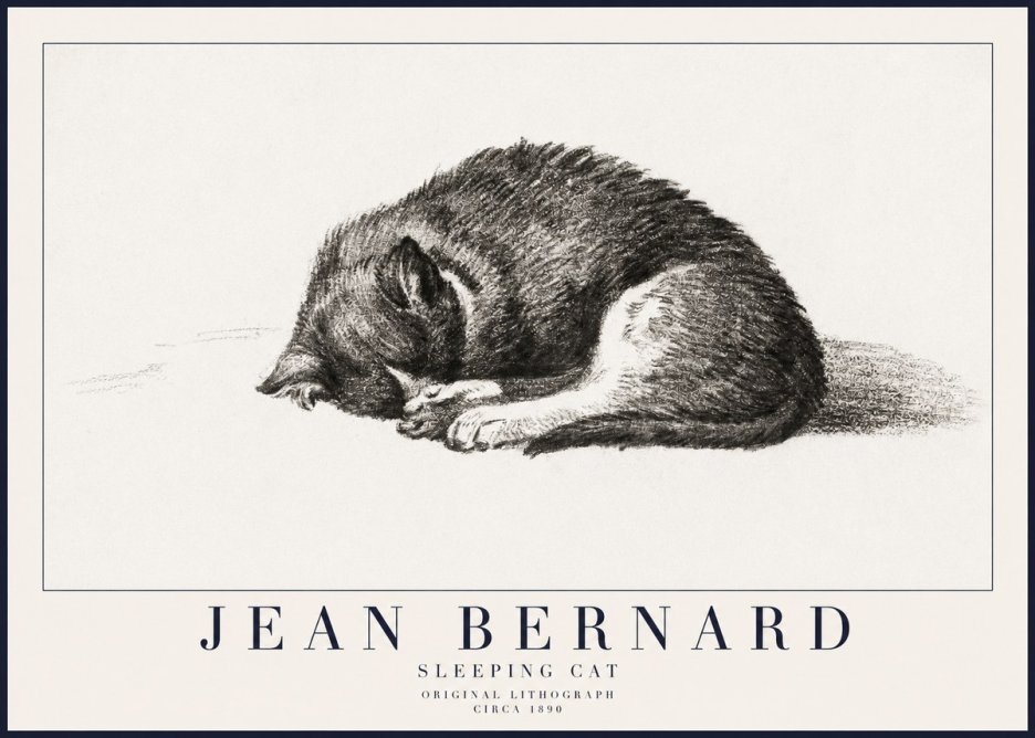 Jean Bernard Sleeping Cat III No6 - Poszter
