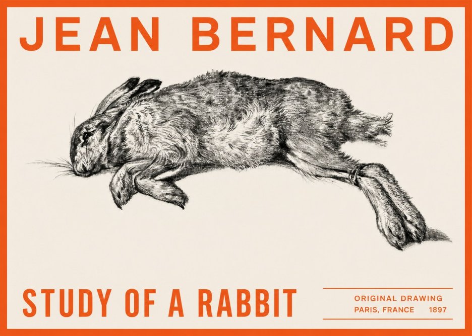 Jean Bernard Study of a Rabbit No2 - Poszter