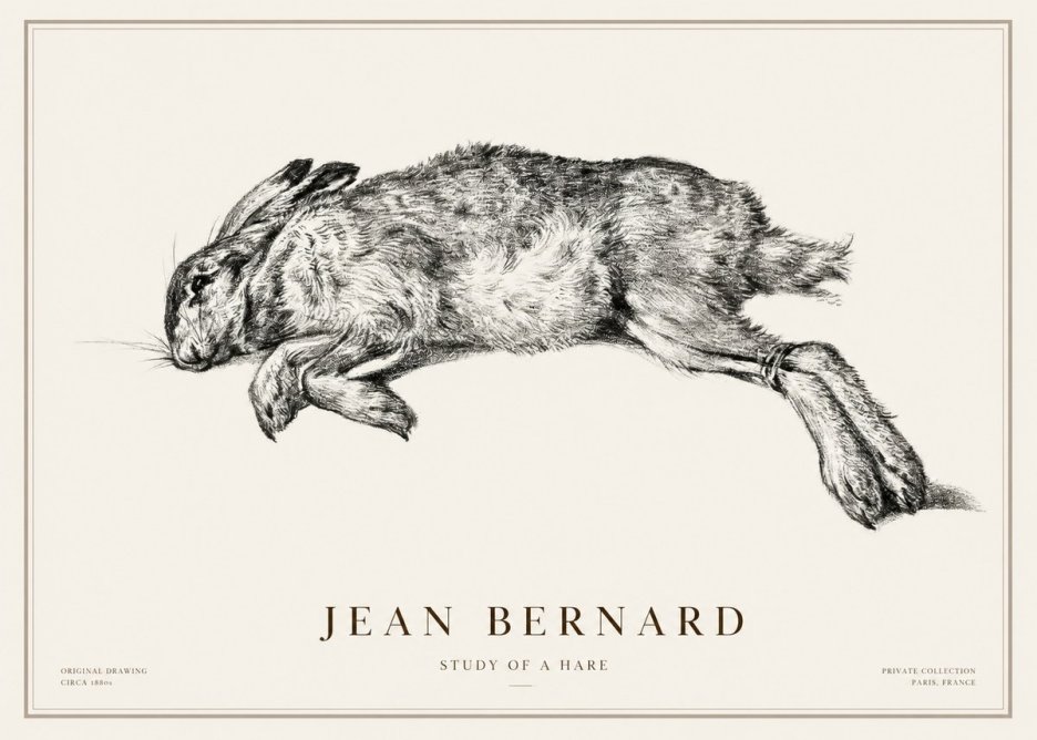 Jean Bernard Study of a Rabbit No3 - Poszter