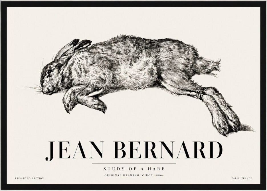 Jean Bernard Study of a Rabbit No5 - Poszter