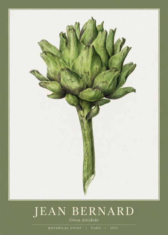 Jean Bernard Green Artichoke No1 - Poszter