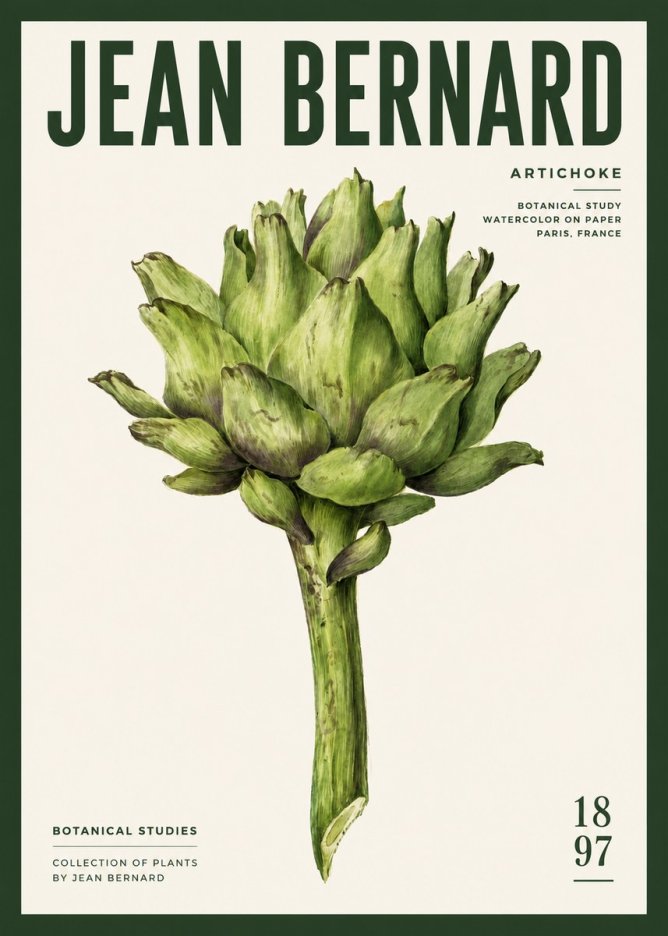 Jean Bernard Green Artichoke No6 - Poszter
