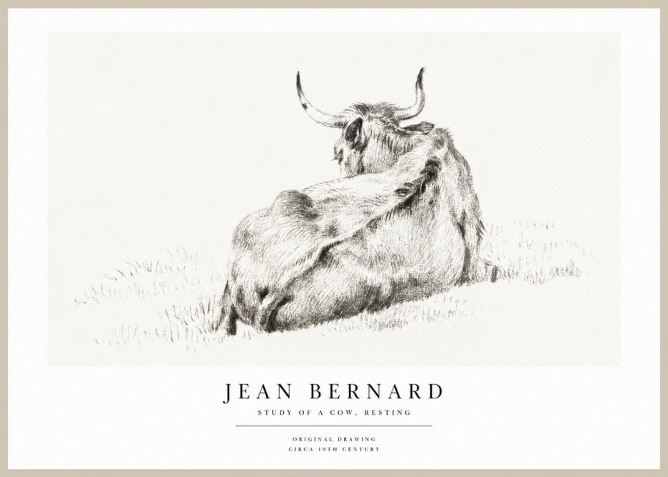 Jean Bernard Resting Bovine - Study in Graphite No2 - Poszter