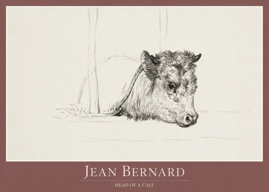 Jean Bernard Study of a Calf I No2 - Poszter
