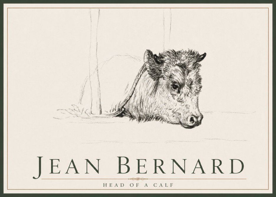 Jean Bernard Study of a Calf I No4 - Poszter
