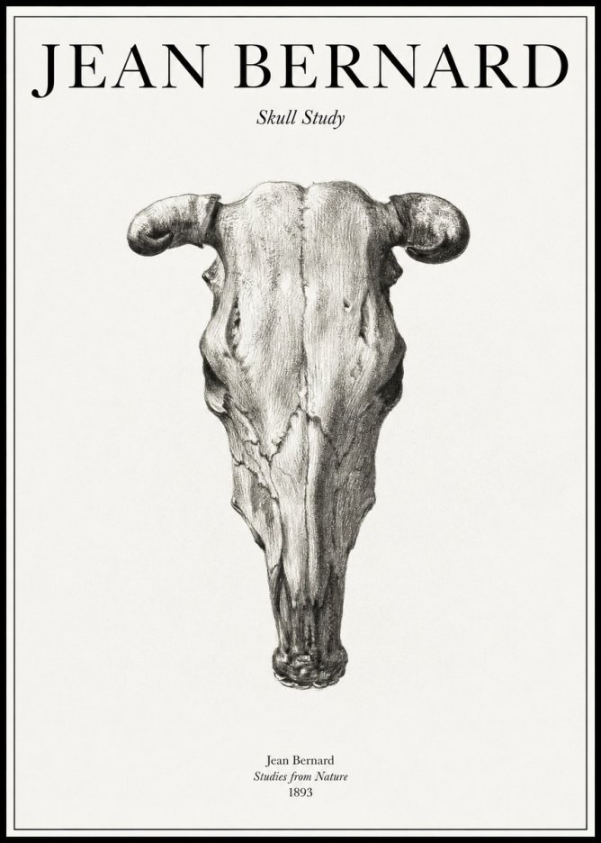 Jean Bernard Skull Study No1 - Poszter