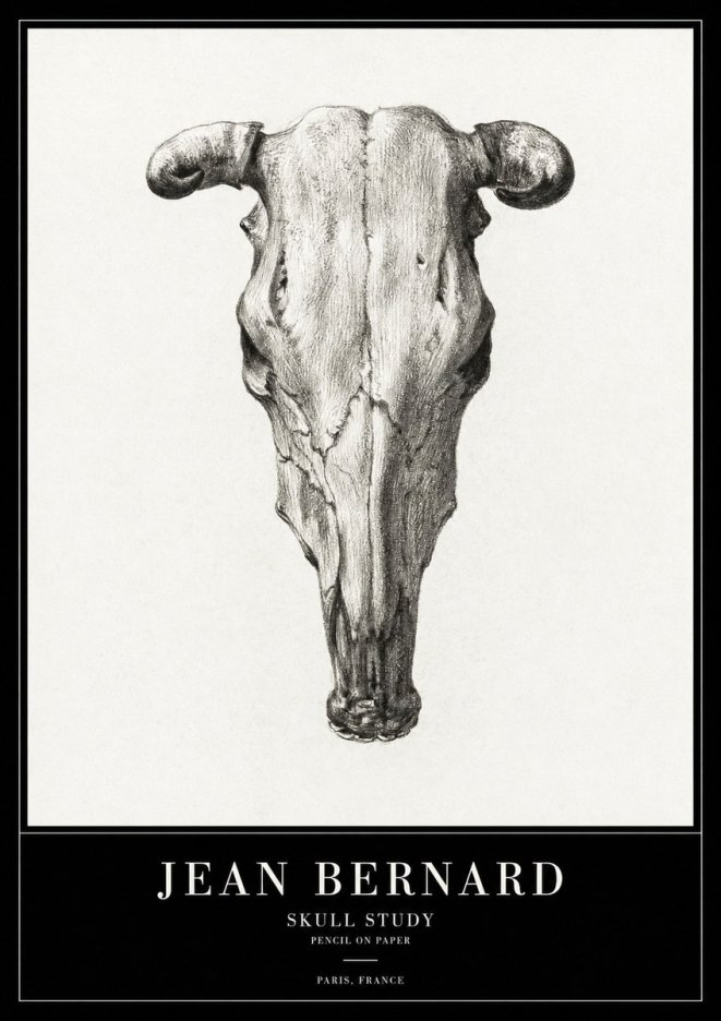 Jean Bernard Skull Study No2 - Poszter