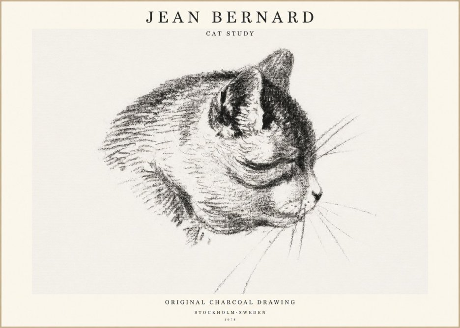 Jean Bernard Cat Study IV No1 - Poszter
