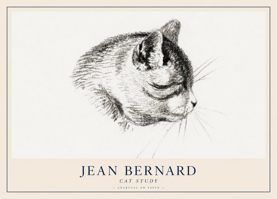 Jean Bernard Cat Study IV No2 - Poszter