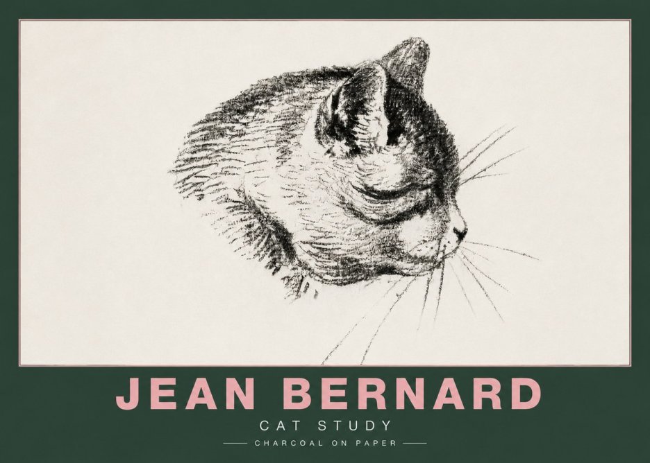 Jean Bernard Cat Study IV No4 - Poszter