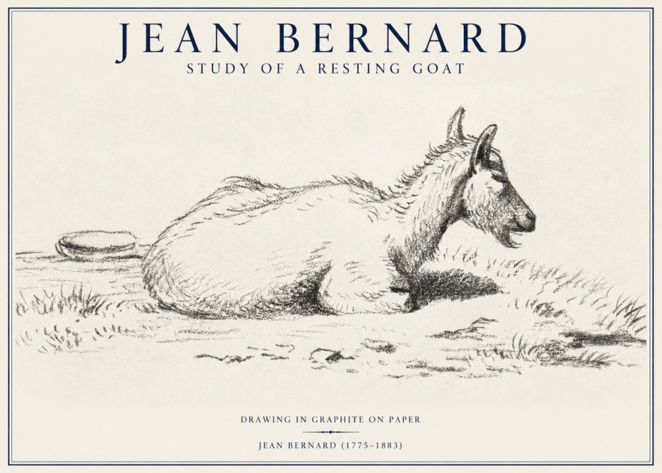 Jean Bernard Study of a Resting Goat No1 - Poszter