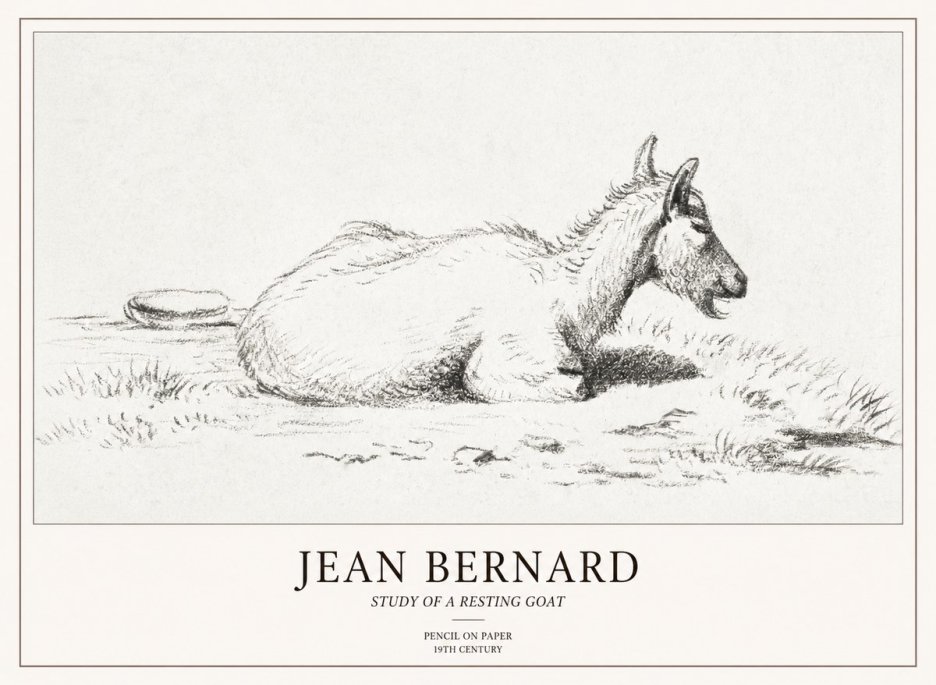 Jean Bernard Study of a Resting Goat No2 - Poszter