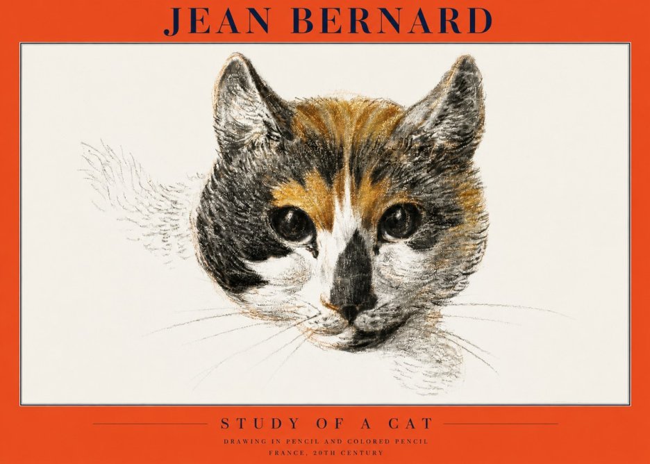 Jean Bernard Study of a Cat II No2 - Poszter