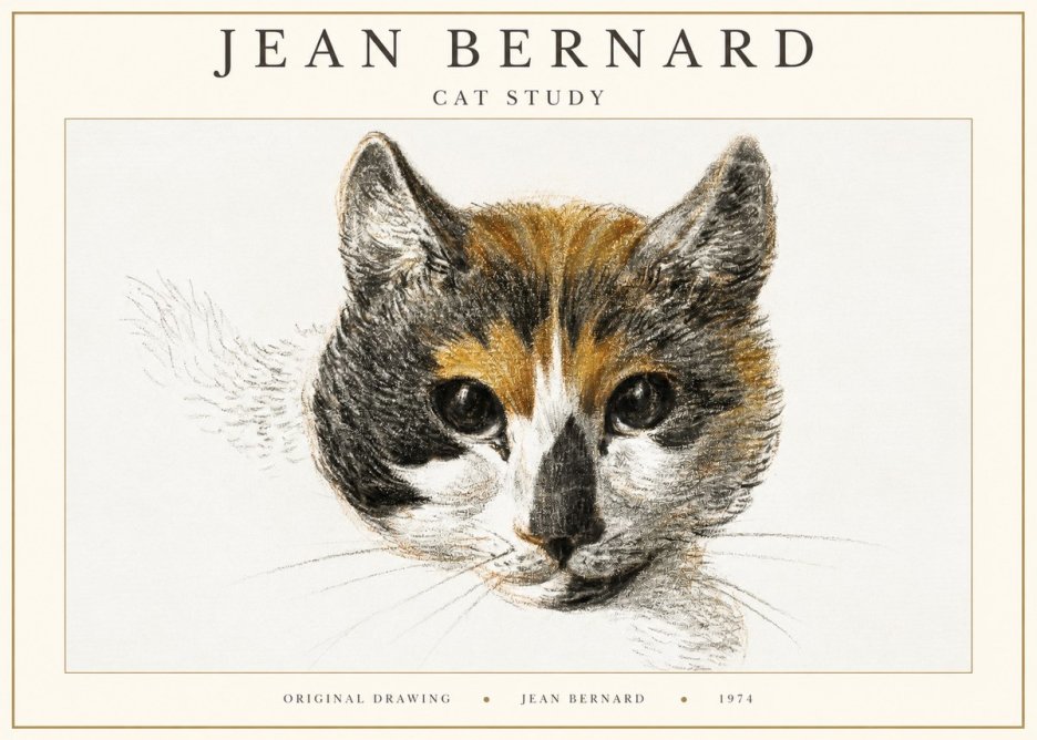 Jean Bernard Study of a Cat II No3 - Poszter