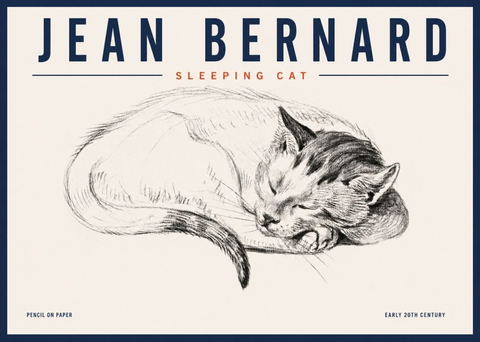 Jean Bernard Sleeping Cat IV No4 - Poszter