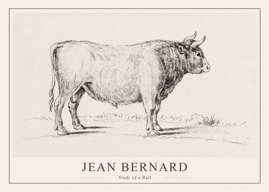 Jean Bernard Study of a Bull I No1 - Poszter