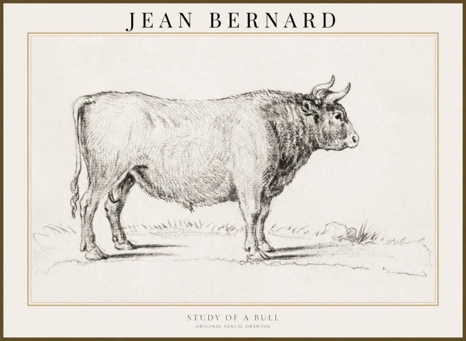 Jean Bernard Study of a Bull I No3 - Poszter