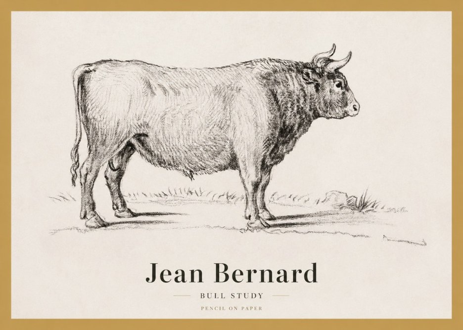 Jean Bernard Study of a Bull I No4 - Poszter