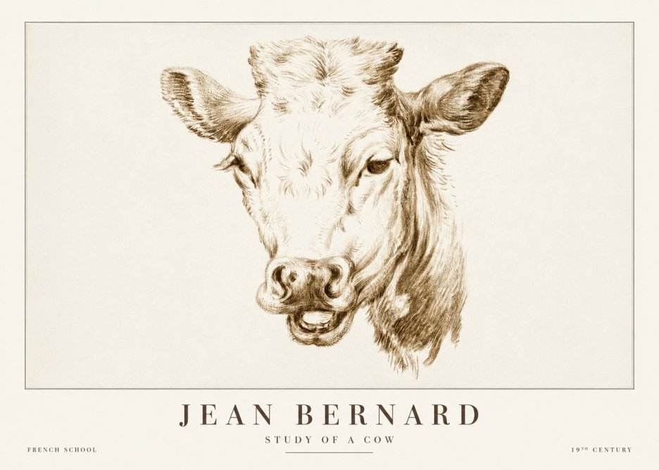 Jean Bernard Study of a Cow IV No2 - Poszter