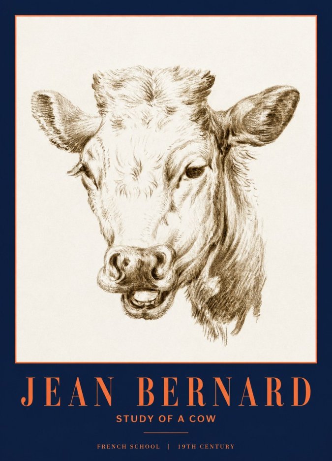 Jean Bernard Study of a Cow IV No3 - Poszter