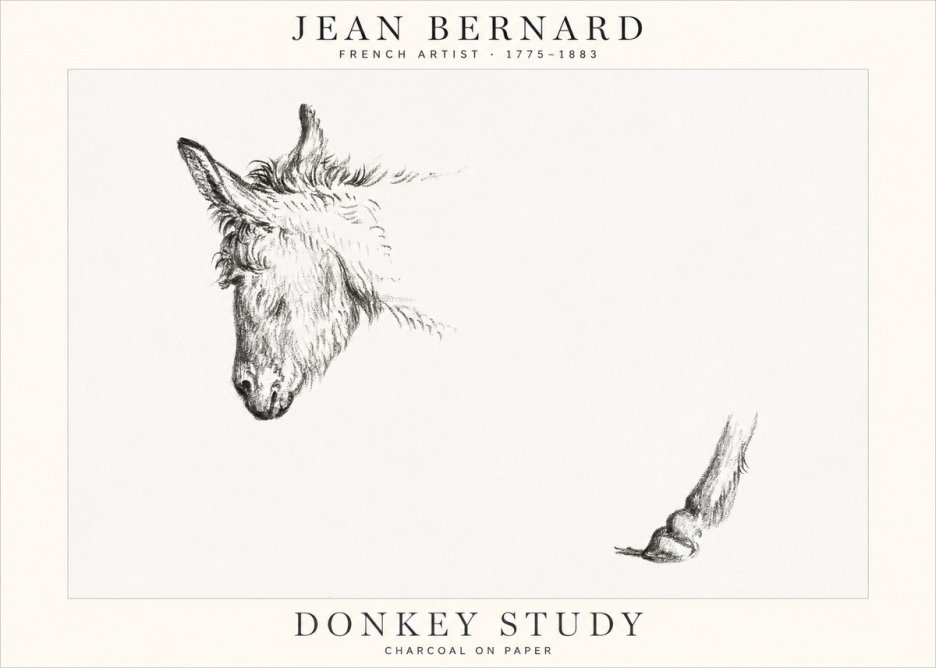 Jean Bernard Study of a Donkey II No2 - Poszter
