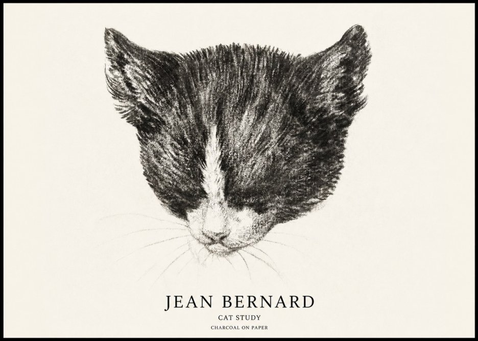 Jean Bernard Cat Study V No1 - Poszter