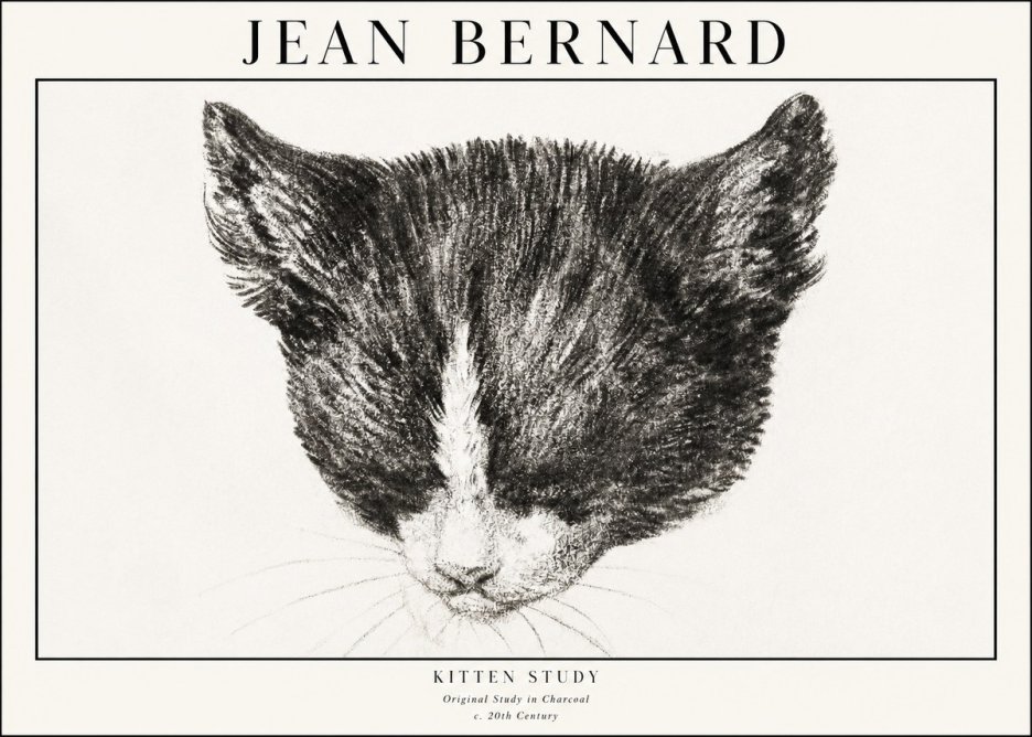 Jean Bernard Cat Study V No4 - Poszter