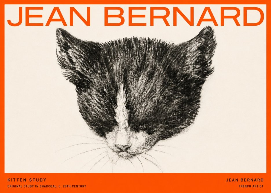 Jean Bernard Cat Study V No5 - Poszter
